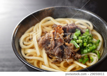 Meat noodles 29050011