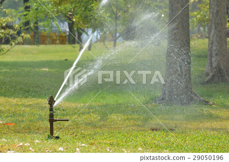 Water sprinkler 29050196