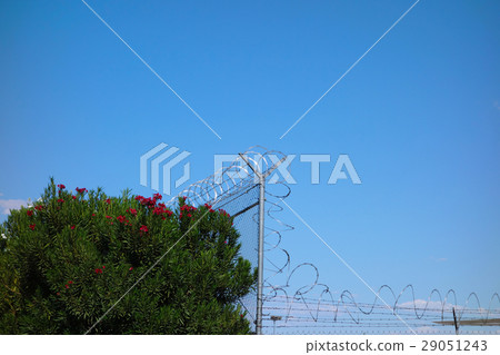 Barbed wire Barbed wire 29051243