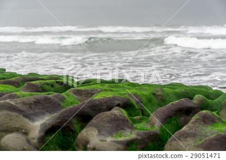 Old plum green trough coast rock Old plum green trough coast rock 29051471