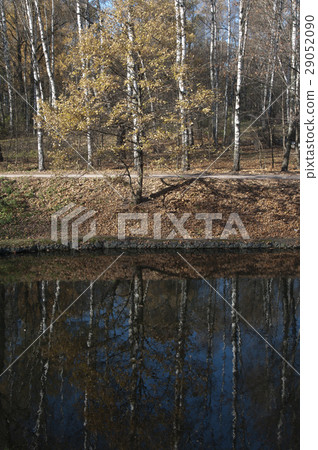 Autumn landscape with a pond Autumn landscape with a pond 29052090