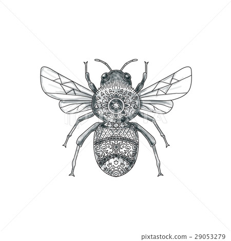 Bumble Bee Mandala Tattoo 29053279