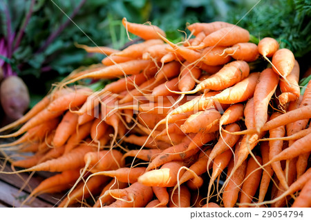 Carrots in market organic vegetables. 29054794