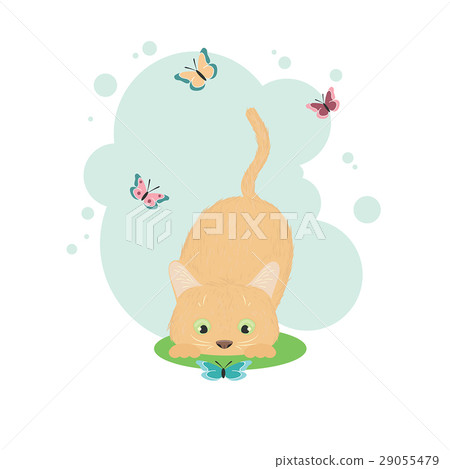 Cat and butterflies 29055479