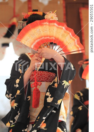 Maiko折扇 29055501