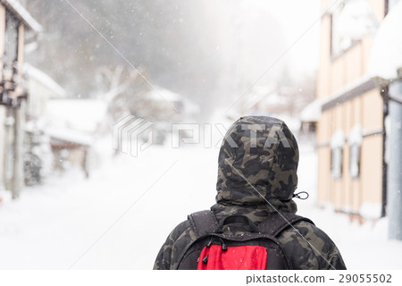 Traveler in Japan 29055502