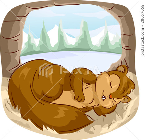 Squirrel Long Nap Hollow Tree Squirrel Long Nap Hollow Tree 29057058