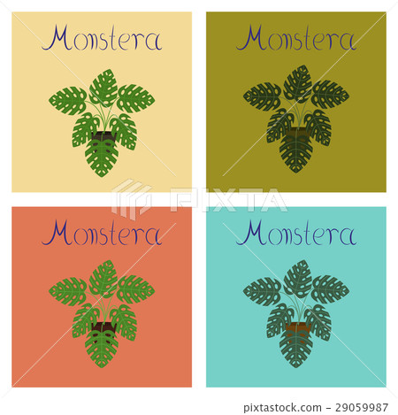 assembly flat Illustrations plant Monstera assembly flat Illustrations plant Monstera 29059987