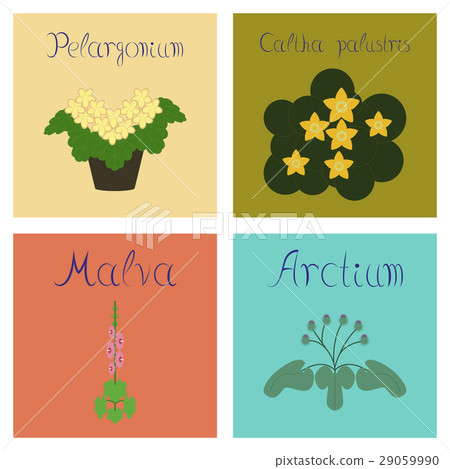 assembly flat Illustrations Arctium Malva Caltha assembly flat Illustrations Arctium Malva Caltha 29059990