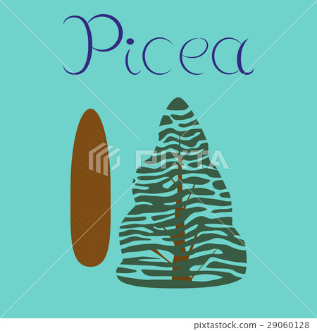 Flat Illustration Stylish Background Plant Picea - Stock Illustration ...