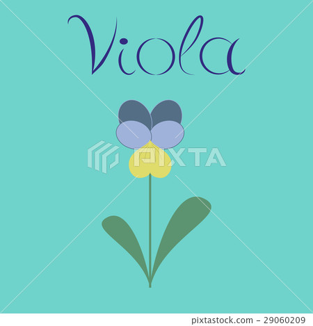 flat illustration stylish background plant Viola flat illustration stylish background plant Viola 29060209