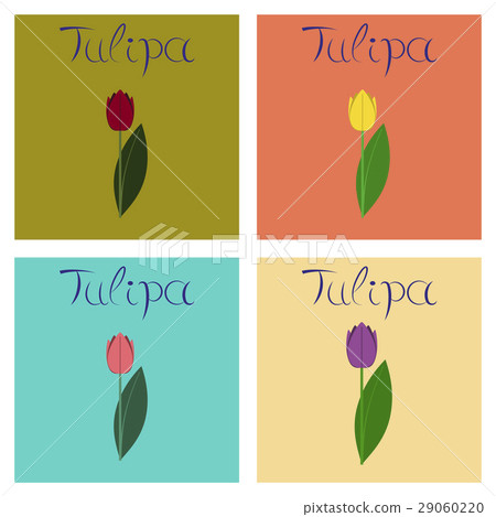 assembly flat Illustrations nature plant Tulipa assembly flat Illustrations nature plant Tulipa 29060220