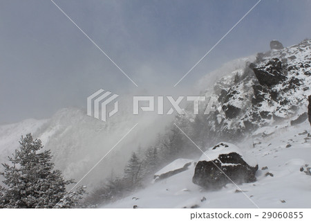 Mizuno Tower Mizuno Tower 29060855