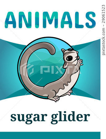 Printable animal flash card 29061523