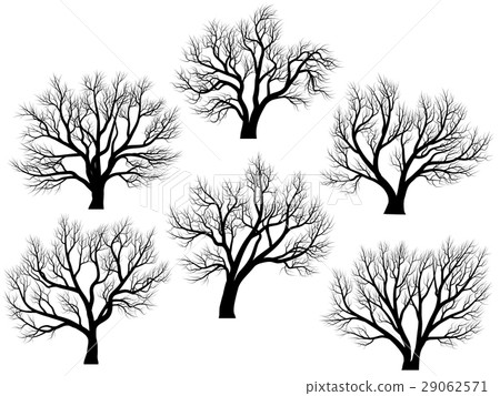 Silhouettes of trees without leaves. 29062571