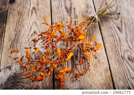 Dried flowers Crocosmia Dried flowers Crocosmia 29062775
