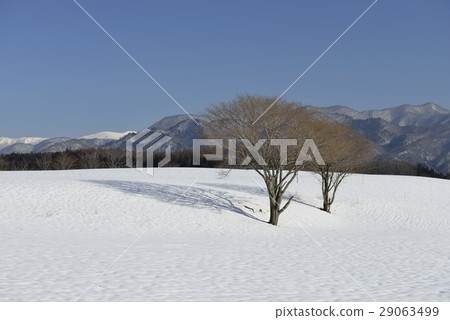 Winter of the Onikobe Pasture · Naruko Onsen Onikobe (Miyagi Prefecture) 29063499