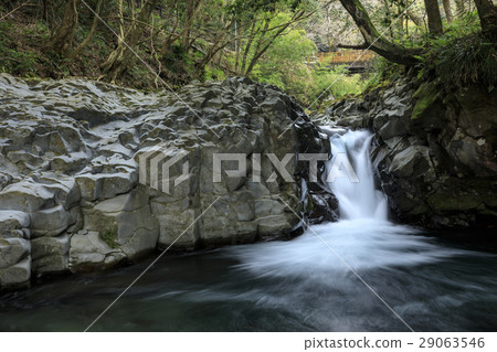 Kawazu Nanakida 29063546