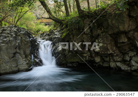 Kawazu Nanakida 29063547