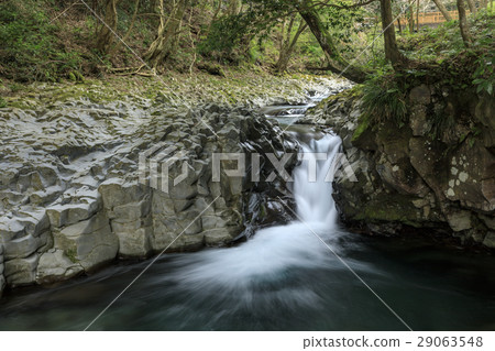 Kawazu Nanakida 29063548