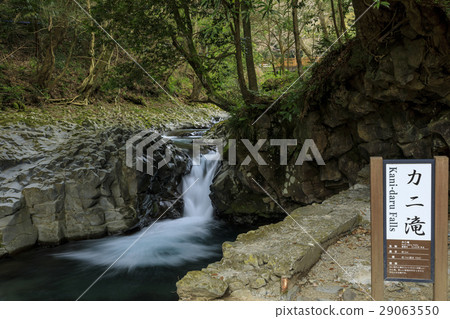 Kawazu Nanakida Kawazu Nanakida 29063550