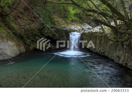 Kawazu Nanakida 29063553