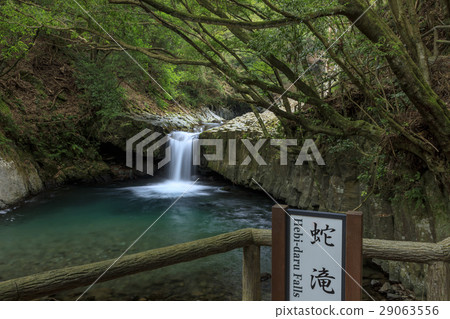 Kawazu Nanakida 29063556