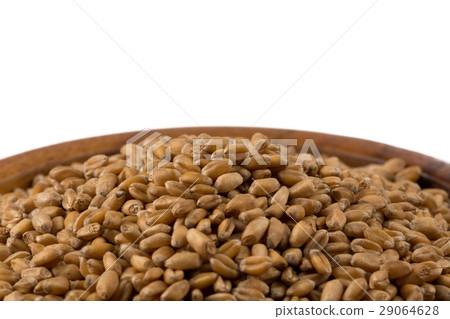 Wheat grain in bowl 29064628