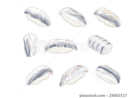 握Kohada 握Kohada 29065517