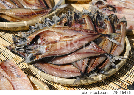 鯖魚乾鯖魚鯖魚 29066436