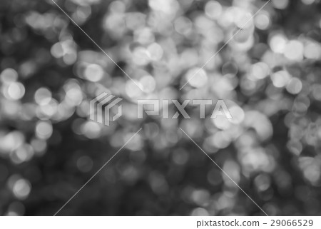 Merry Christmas Greeting Abstract bokeh background 29066529