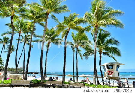 Holidays in Hawaii Holidays in Hawaii 29067040