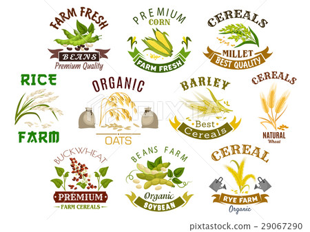 Grain and cereal product vector isolated icons Grain and cereal product vector isolated icons 29067290