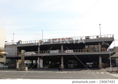 築地市場 築地市場 29067481