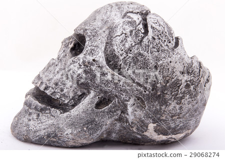 Skull ashtray Skull ashtray 29068274