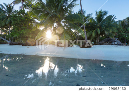 Tropical beach Tropical beach 29068480