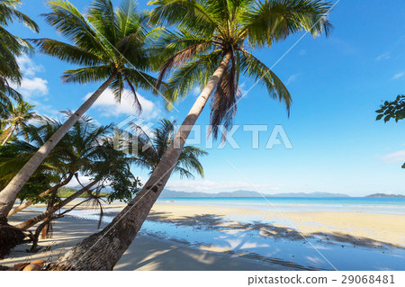 Tropical beach Tropical beach 29068481