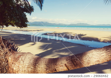 Tropical beach 29068482