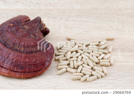 Ganoderma lucidum capsule - Ling zhi mushroom Ganoderma lucidum capsule - Ling zhi mushroom 29068769