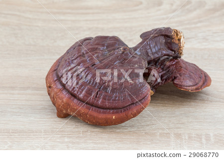 Ganoderma Lucidum Mushroom on wood background 29068770