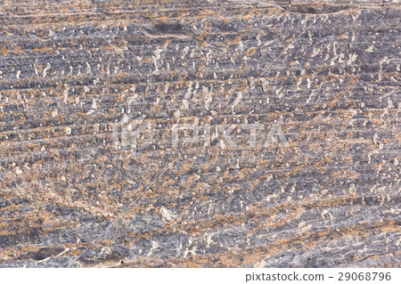 Surface of  stone 29068796