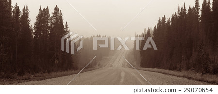 Foggy road 29070654