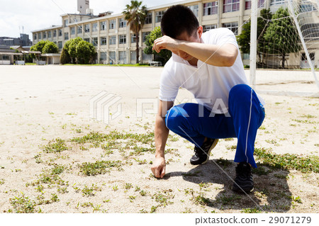 Weeding Weeding 29071279