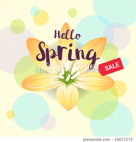 Floral spring with yellow flower  29071572