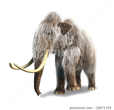 Photorealistic 3 D rendering of a Mammoth. 29071704
