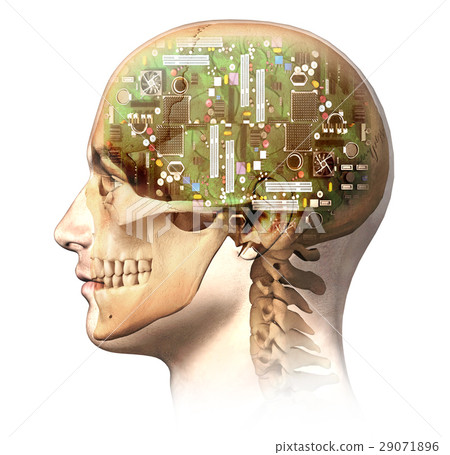Male human head with skull and artificial electronic circuit brain in ghost effect, side view. 29071896