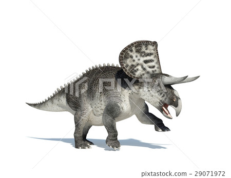 Zuniceratops on white background 29071972