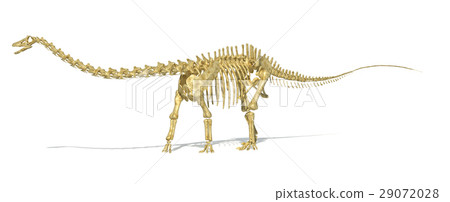 Diplodocus dinosaur full skeleton photo-realistc rendering. Perspective view. 29072028