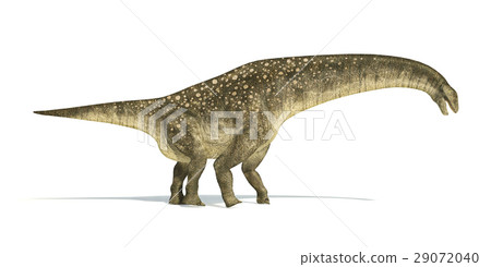 Titanosaurus dinosaur, photorealistic and scientifically correct representation. Side view. 29072040