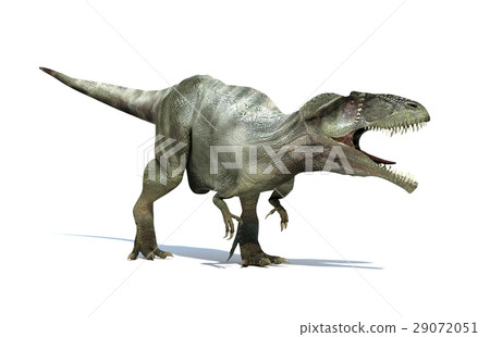 Photorealistic 3 D rendering of a Giganotosaurus. 29072051